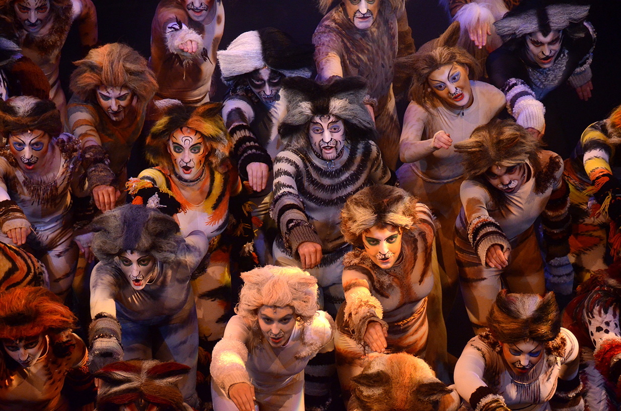 cats-perf-07-3